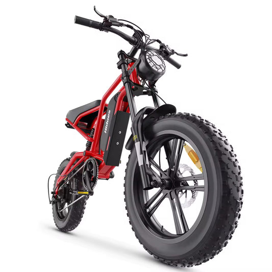 Hides B6 Electric Fat Tire Bike - 1200W motor | 48v Battery
